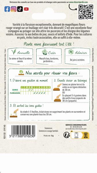 Fleurs - Capucine Valina Écarlate - MEDIA_PACKAGING_VERSO